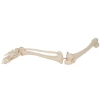 product-additional-image