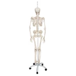 product-additional-image