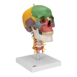 product-additional-image