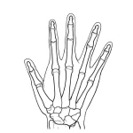 product-additional-image