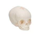 product-additional-image