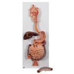 product-additional-image