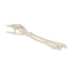 product-additional-image