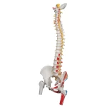 product-additional-image