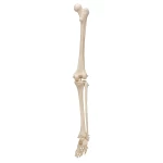 product-additional-image
