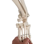 product-additional-image