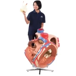 product-additional-image
