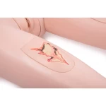 product-additional-image