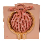 product-additional-image