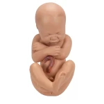 product-additional-image