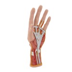 product-additional-image