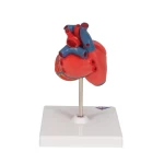 product-additional-image