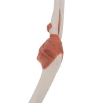 product-additional-image