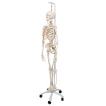 product-additional-image
