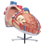 product-additional-image