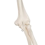 product-additional-image