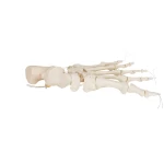 product-additional-image
