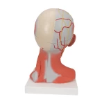 product-additional-image