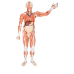 product-additional-image