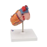 product-additional-image